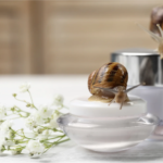 Snail facials are a growing trend in skin care, but is it worth the hype?