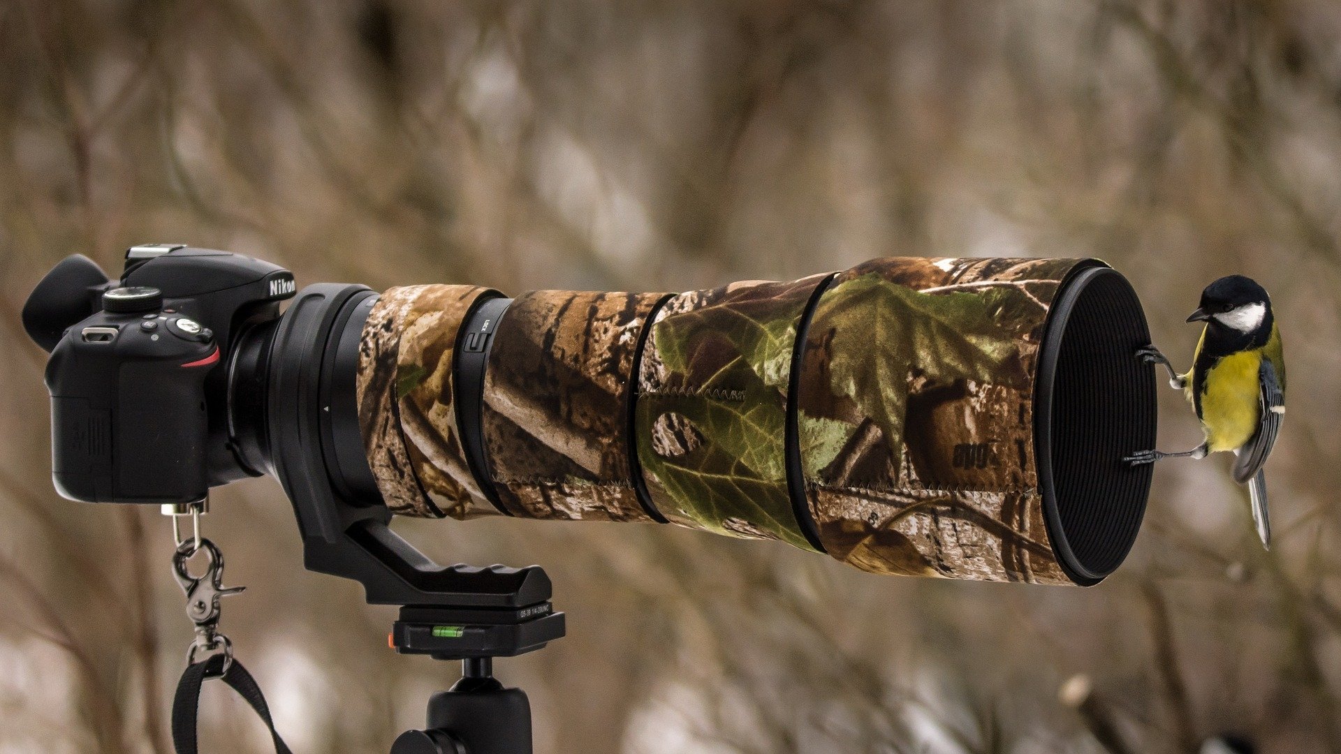 8 Ways Photography Can Enhance Your Life