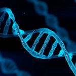 Why Nigerians Bullish Campaign for DNA Test Necessary?