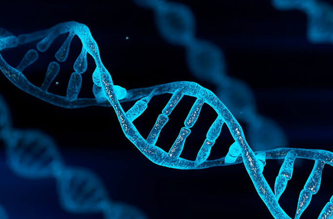 Why Nigerians Bullish Campaign for DNA Test Necessary?